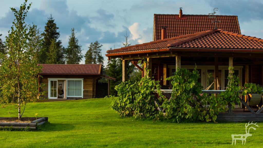 Viesu Majas Briedisi Raiskums