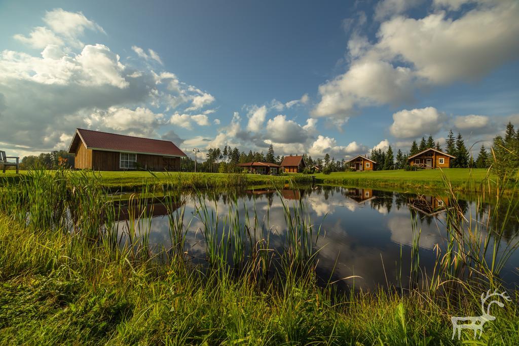 Viesu Majas Briedisi Holiday home *