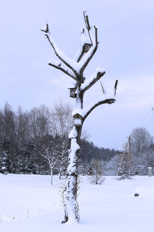 Poilsio namai Viesu Majas Briedisi Raiskums