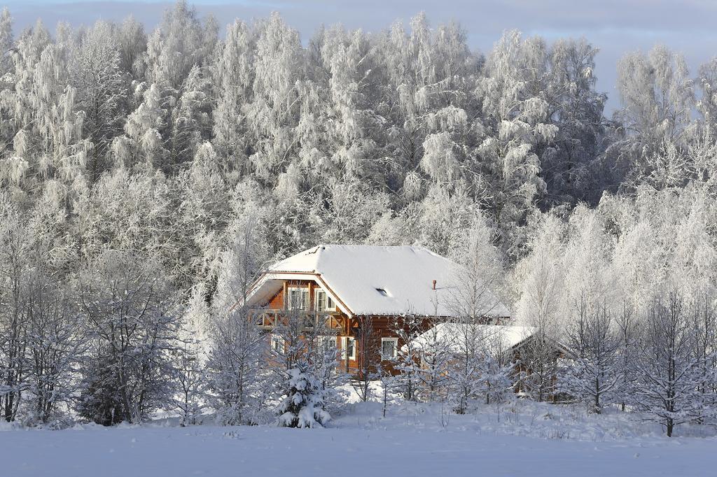 Holiday home Viesu Majas Briedisi *