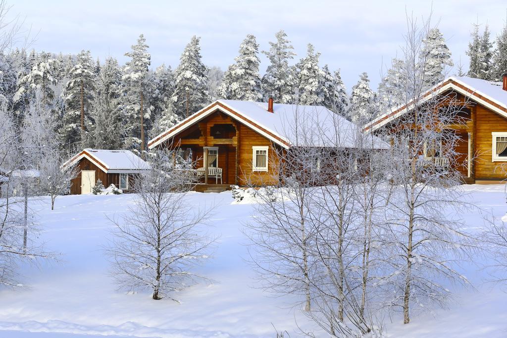 Holiday home Viesu Majas Briedisi Raiskums