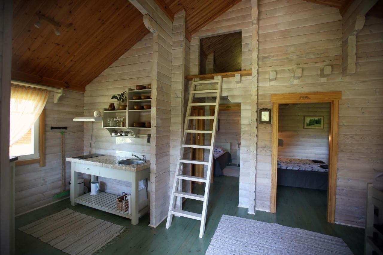 Viesu Majas Briedisi Holiday home Raiskums