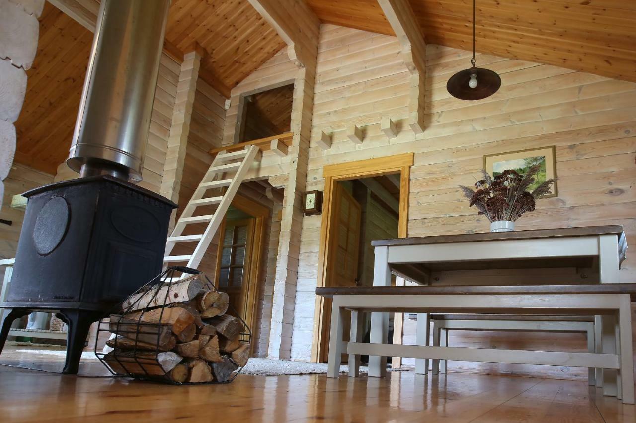 Holiday home Viesu Majas Briedisi *